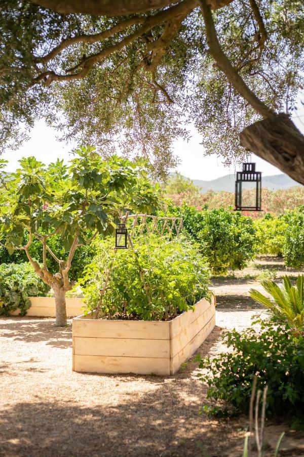 Can Arabi - Adults Only Puig D'en Valls Exterior foto